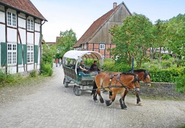 Fewo Charlotte Horn-Bad Meinberg Exterior foto